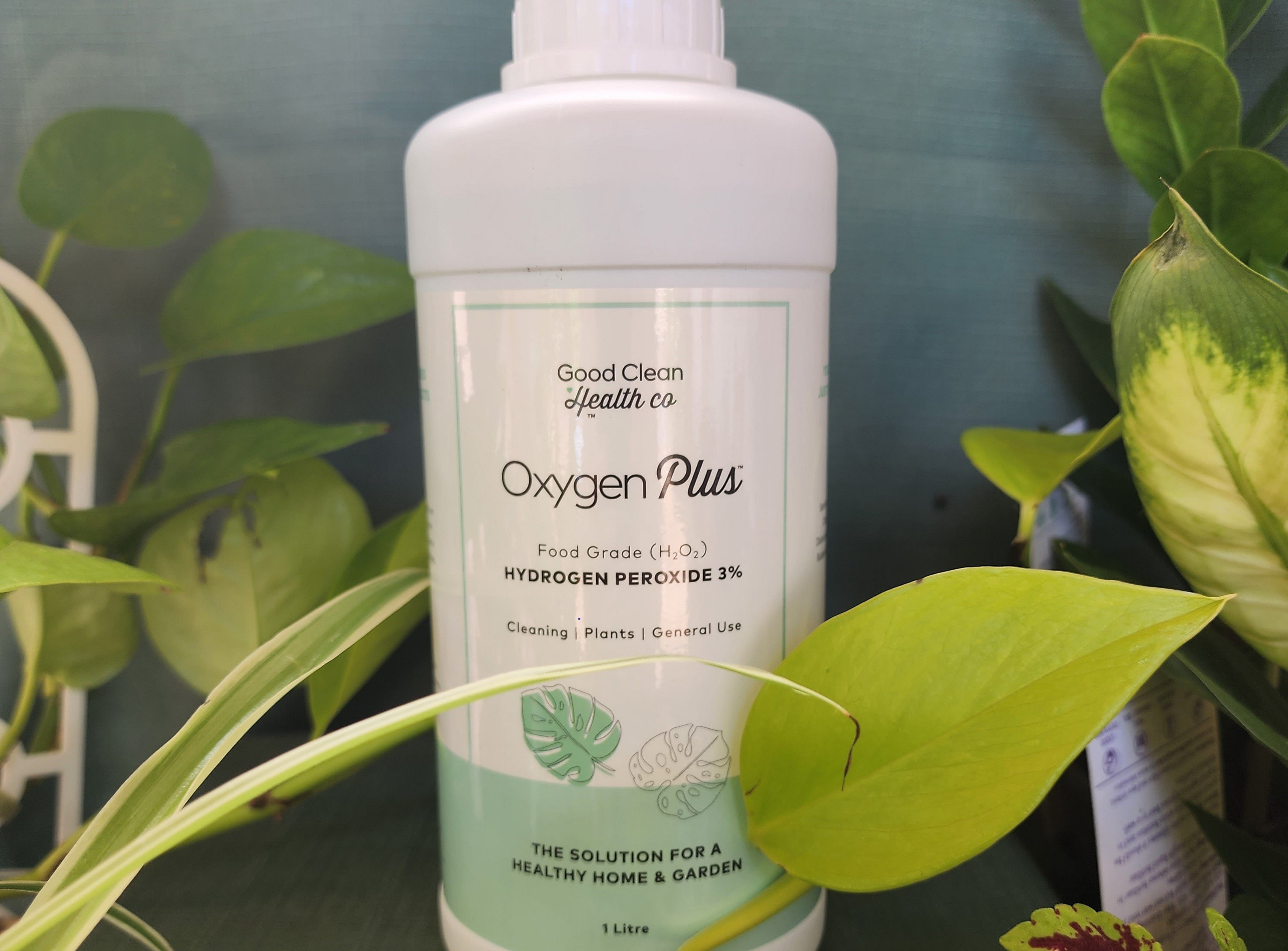 Unleashing the Power of Hydrogen Peroxide in Your Garden: A Comprehens   Leaf of Faith SA