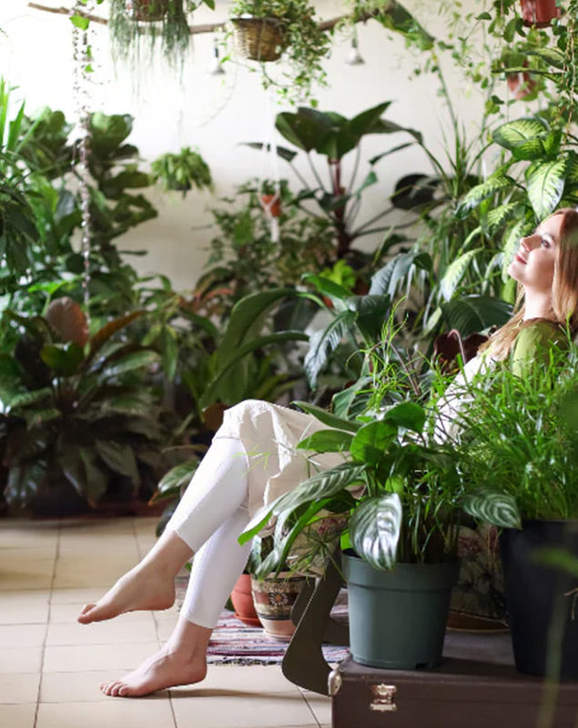 Living between indoor plants