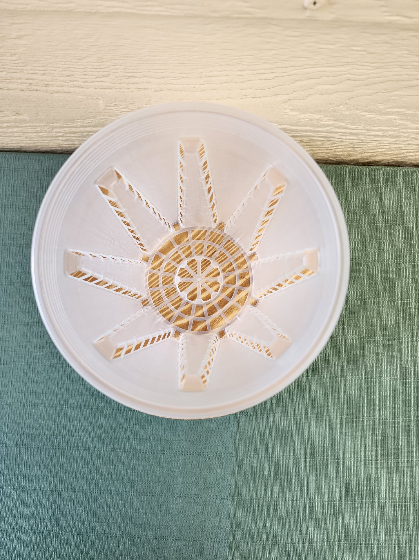 Clear Nursery Pot - Anti Spiral 14.3cm - Leaf of Faith SA