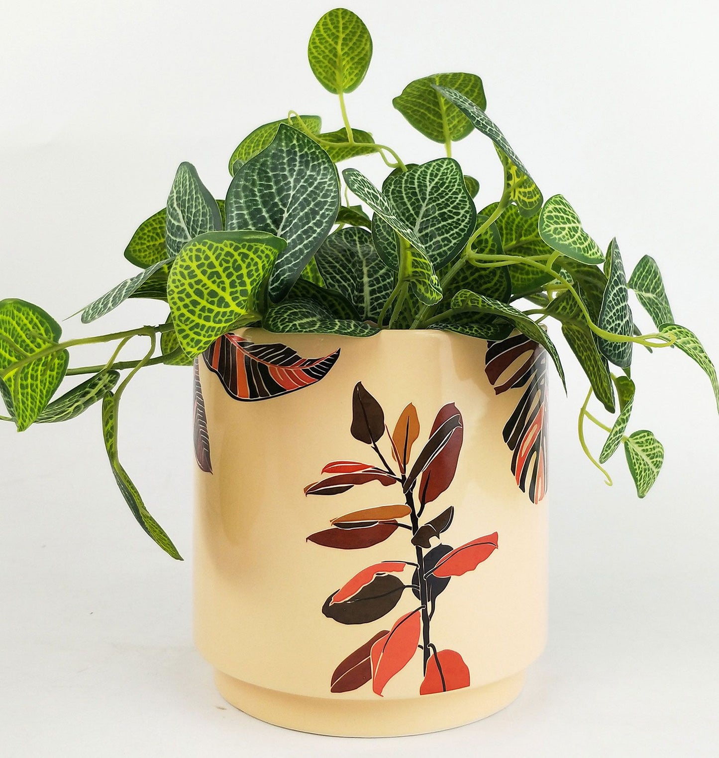 Urban Ivy Foliage Planter – Pink and Green Ceramic Pot for Indoor Plants (16cm)