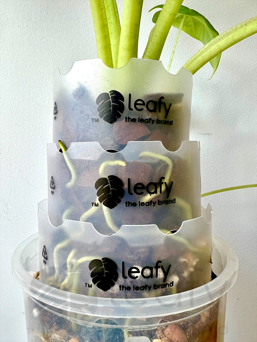 leafy™ Pot Extender - Leaf of Faith SA