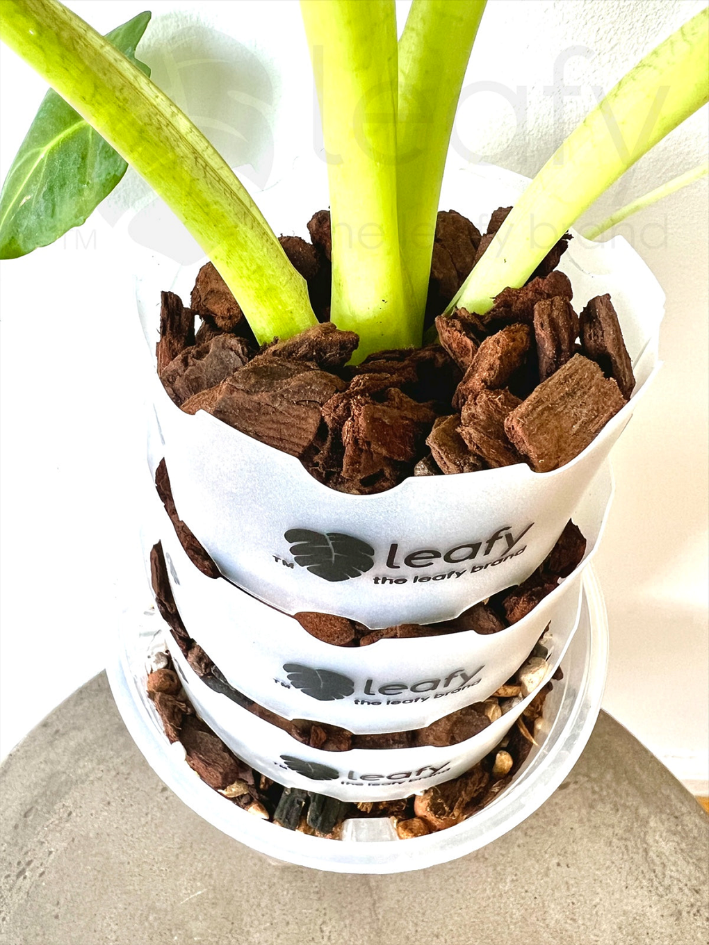 leafy™ Pot Extender - Leaf of Faith SA