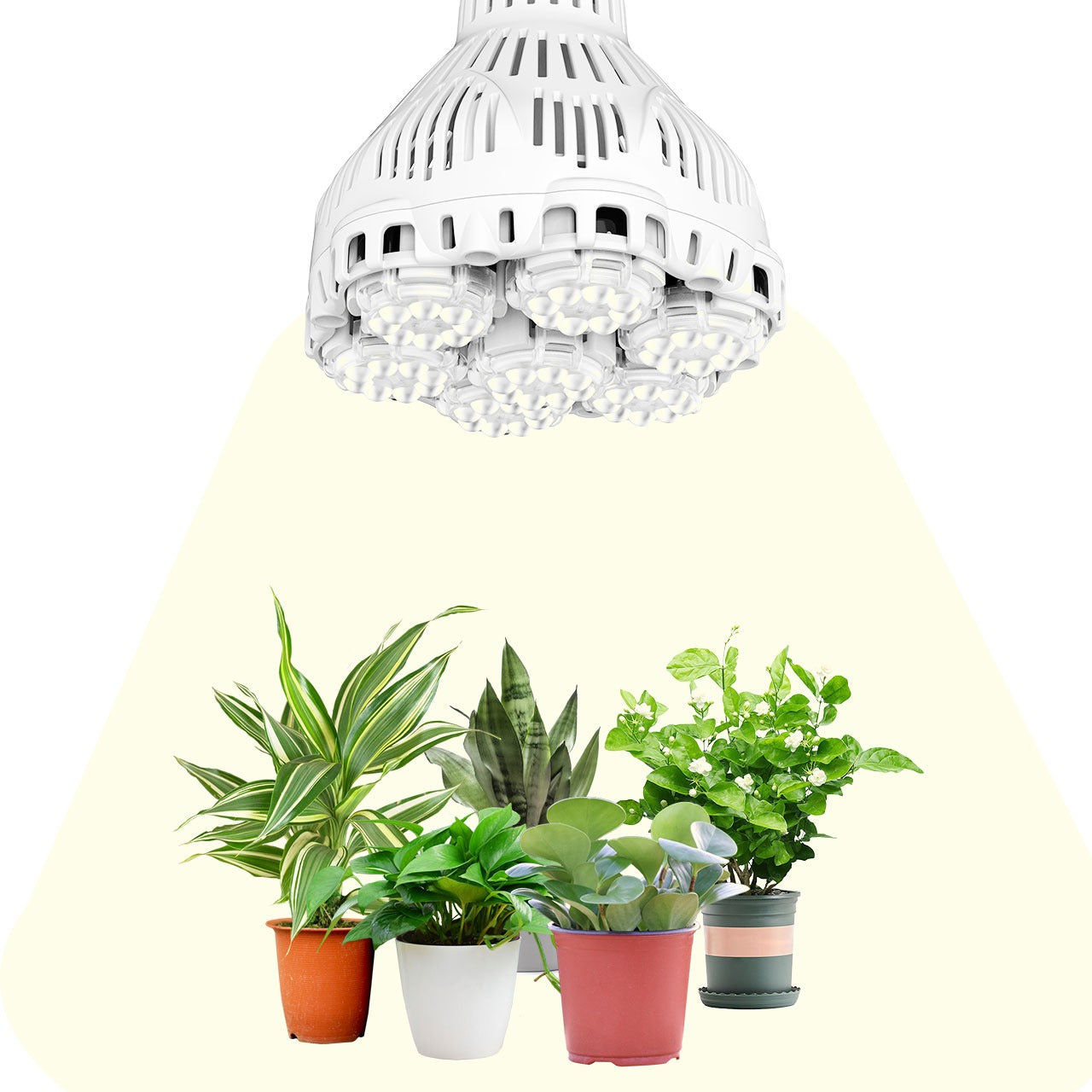 SANSI Grow Light bulb for indoor plants – 40W LED