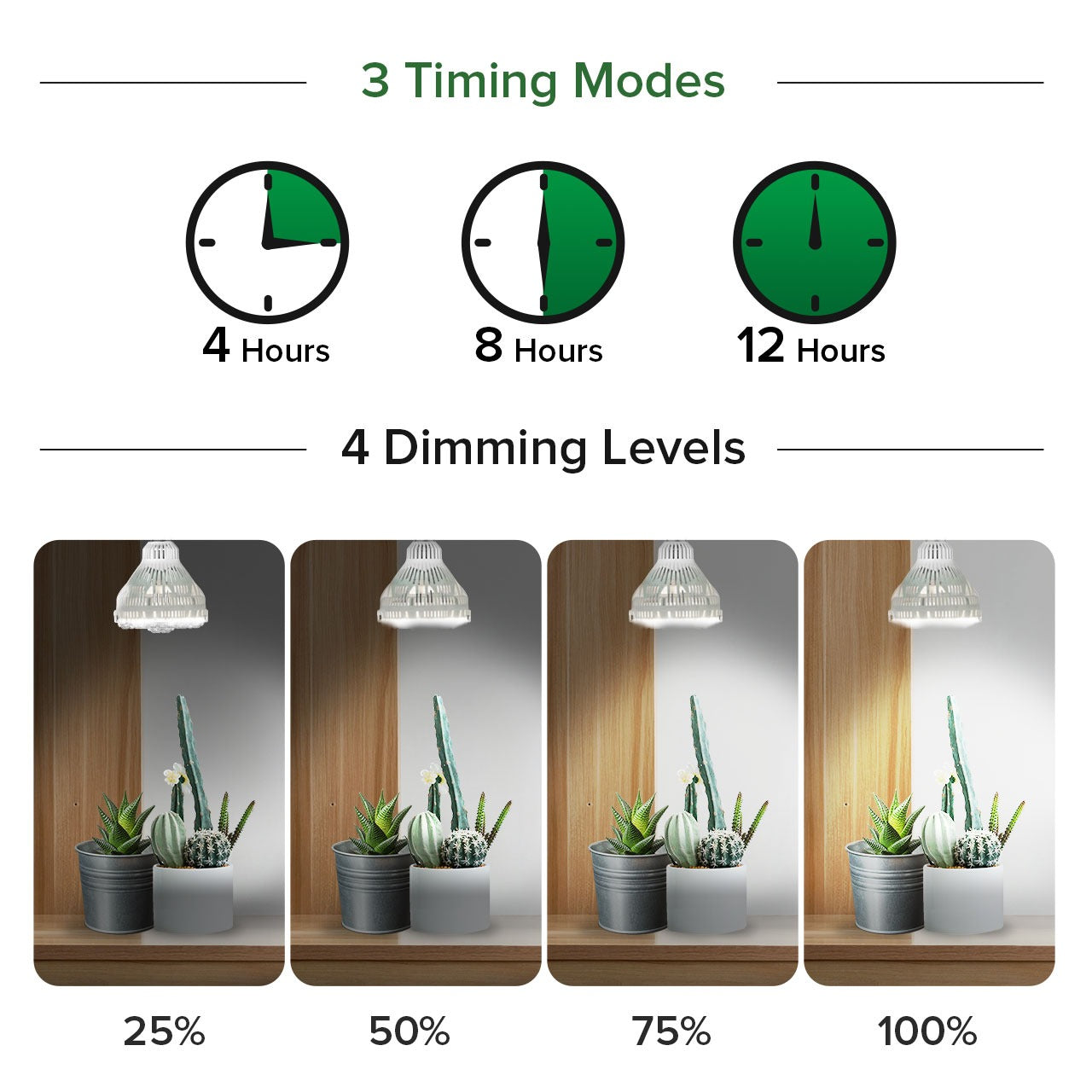 Diagram showing 3 timing modes and 4 dimming levels with corresponding images of plants.