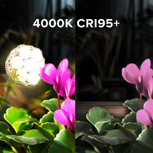 Light bulb emitting a warm glow next to pink flowers with '4000K CRI95+' text.