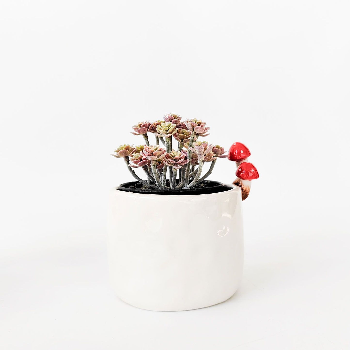 Urban Toadstool Planter – White Ceramic Mushroom-Inspired Pot for Indoor Plants (13cm)