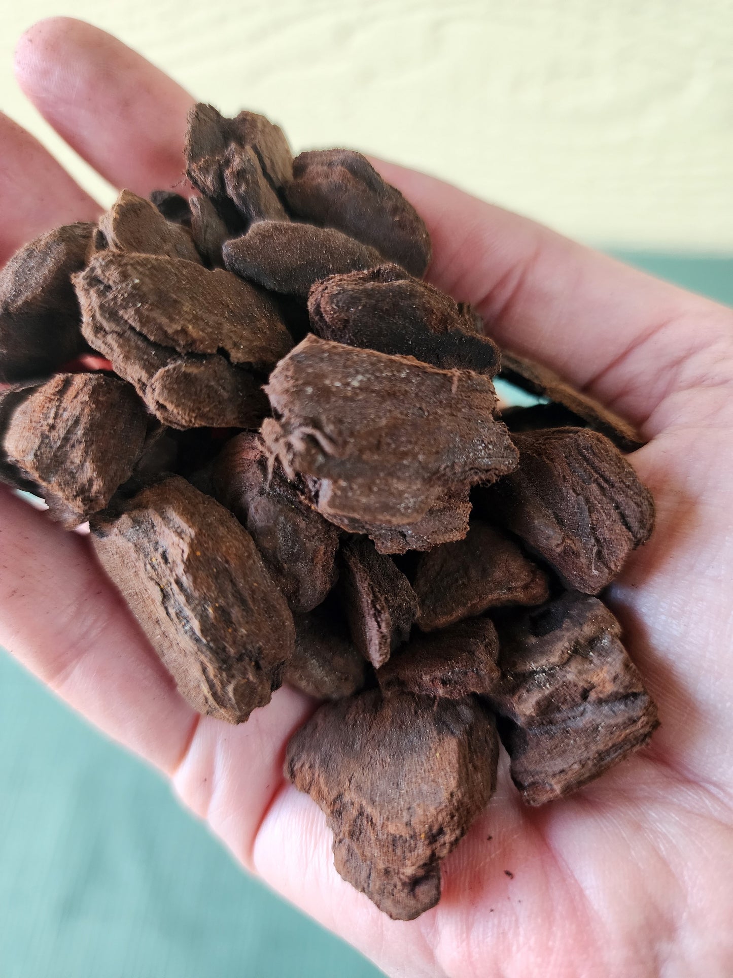 Orchiata Orchid Bark 2.5L premium New Zealand Pinus radiata bark for orchids