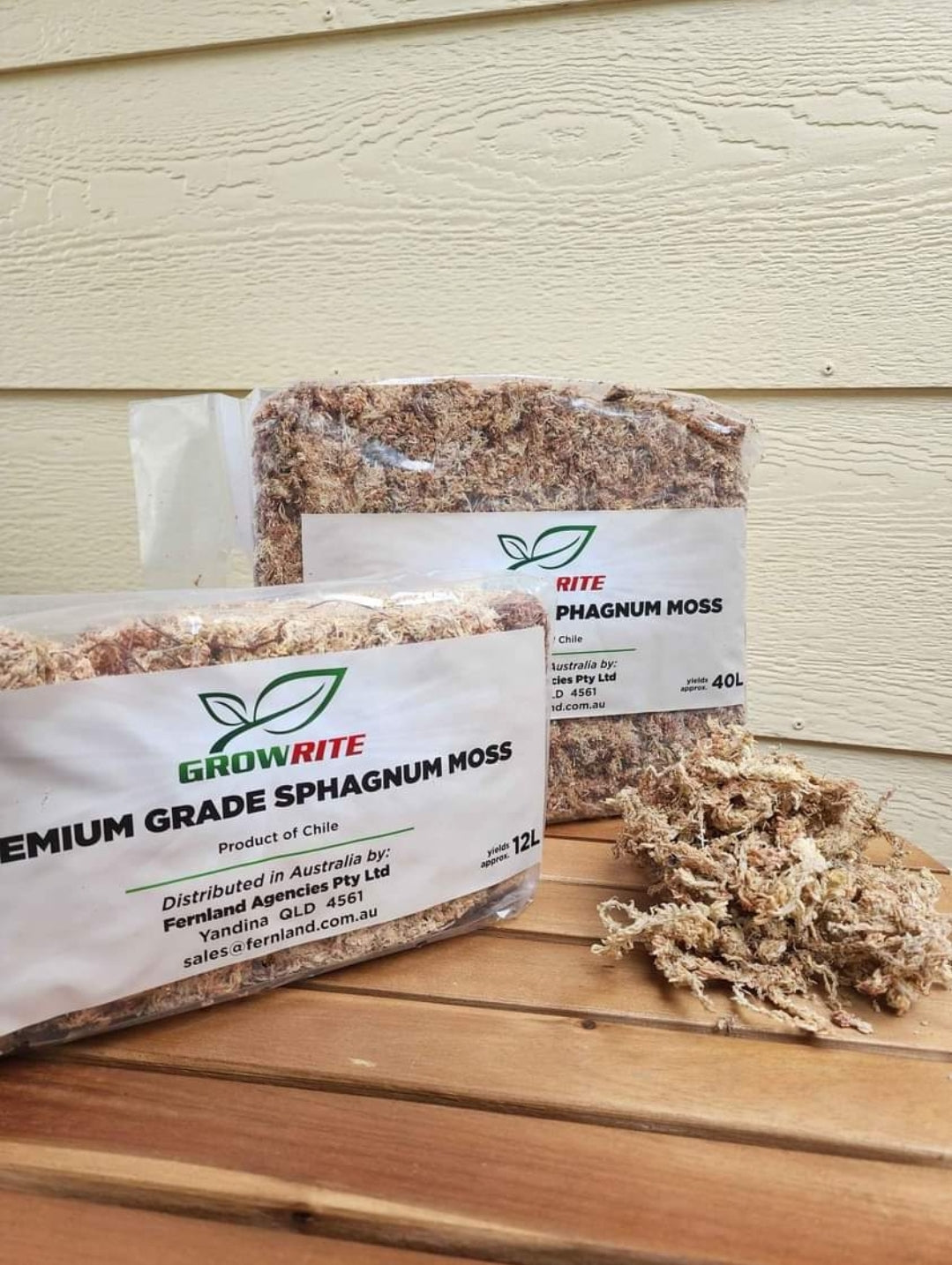 GrowRite Sphagnum Moss Gold Grade 500g for orchids, carnivorous plants and terrariums