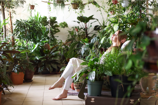 Relaxing amongst the indoor plants