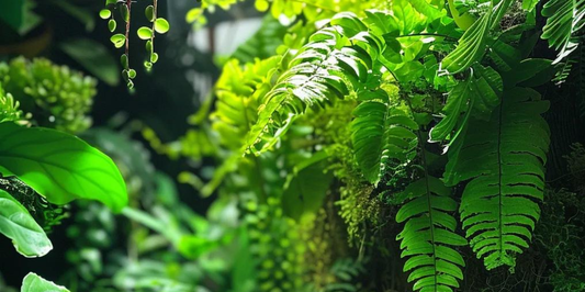 Fernwood Tree Fern Substrate: A Sustainable Choice Backed by Leaf of Faith
