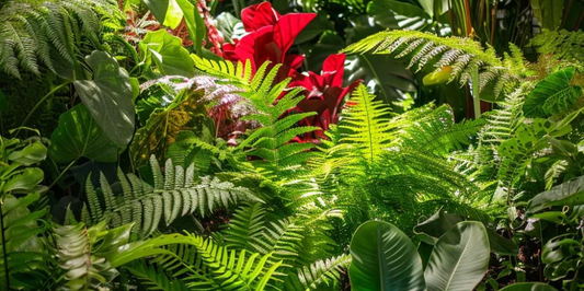 Premium Plant Care with Fernwood Growing Media in Australia