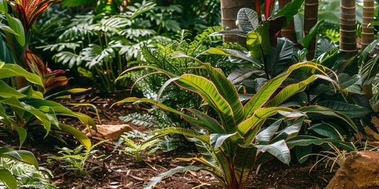The Advantages of Using Coco Coir Soilless Mix for Gardening