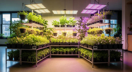 Boost Your Plant Growth with Sansi Grow Lights Australia