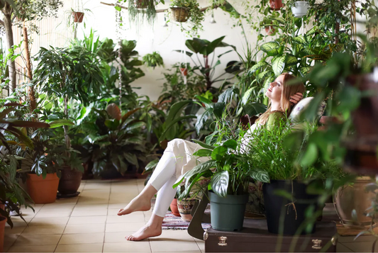  Matching Plants to Your Home's Personality