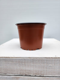 90mm Teku VCG Squat (0.26L) Terracotta - Leaf of Faith SA