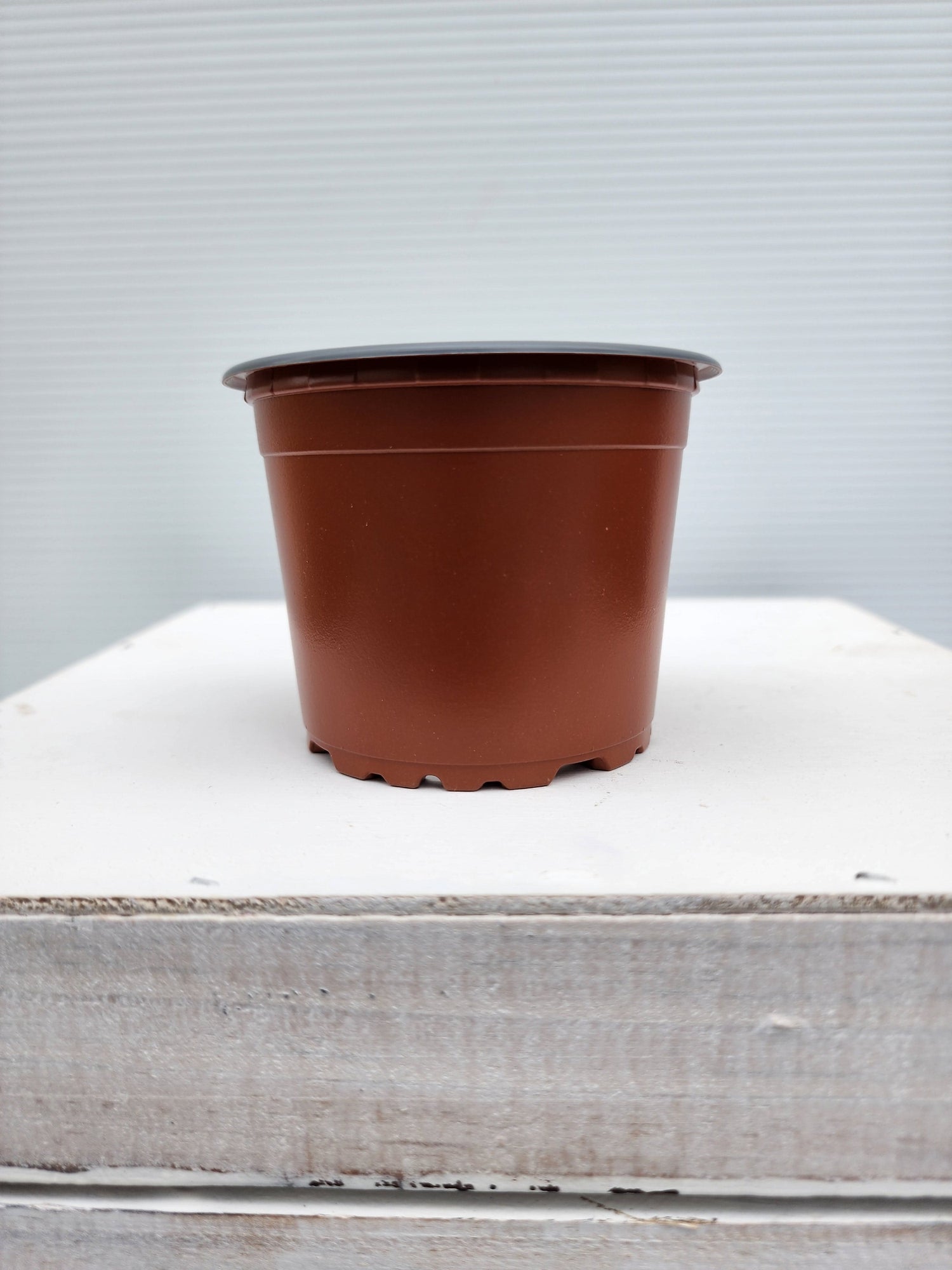 squat plant pots 90mm Teku VCG Squat (0.26L) Terracotta – Leaf of Faith SA