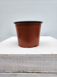 90mm Teku VCG Squat (0.26L) Terracotta - Leaf of Faith SA