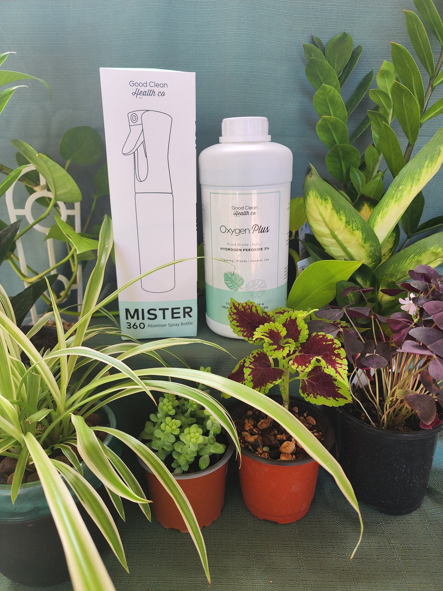 Mister 360 Cleaning & Plant Mister from Good Clean Health - Leaf of Faith SA