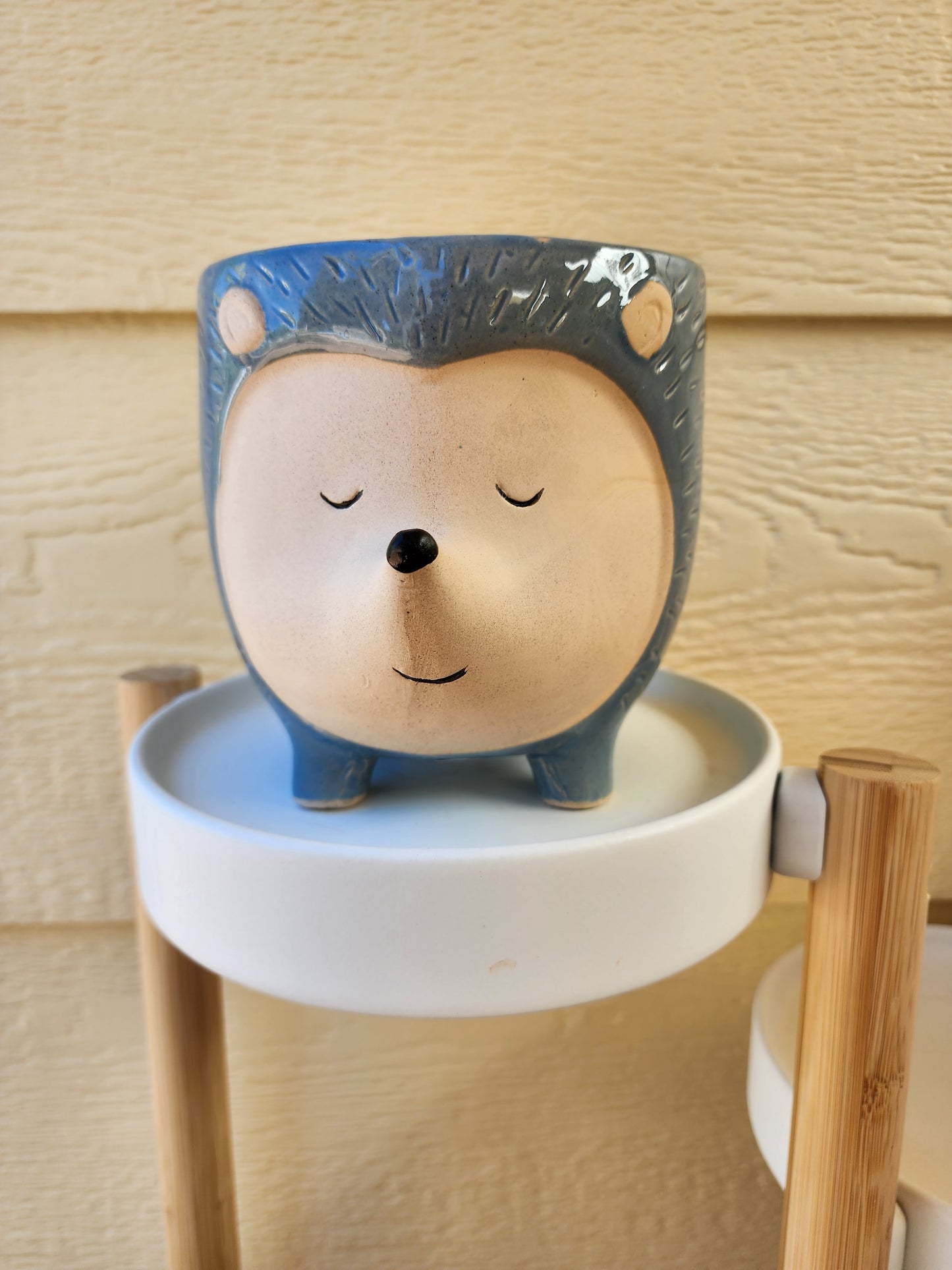 Hedgehog Planter Blue Lg 14.5cm - Leaf of Faith SA