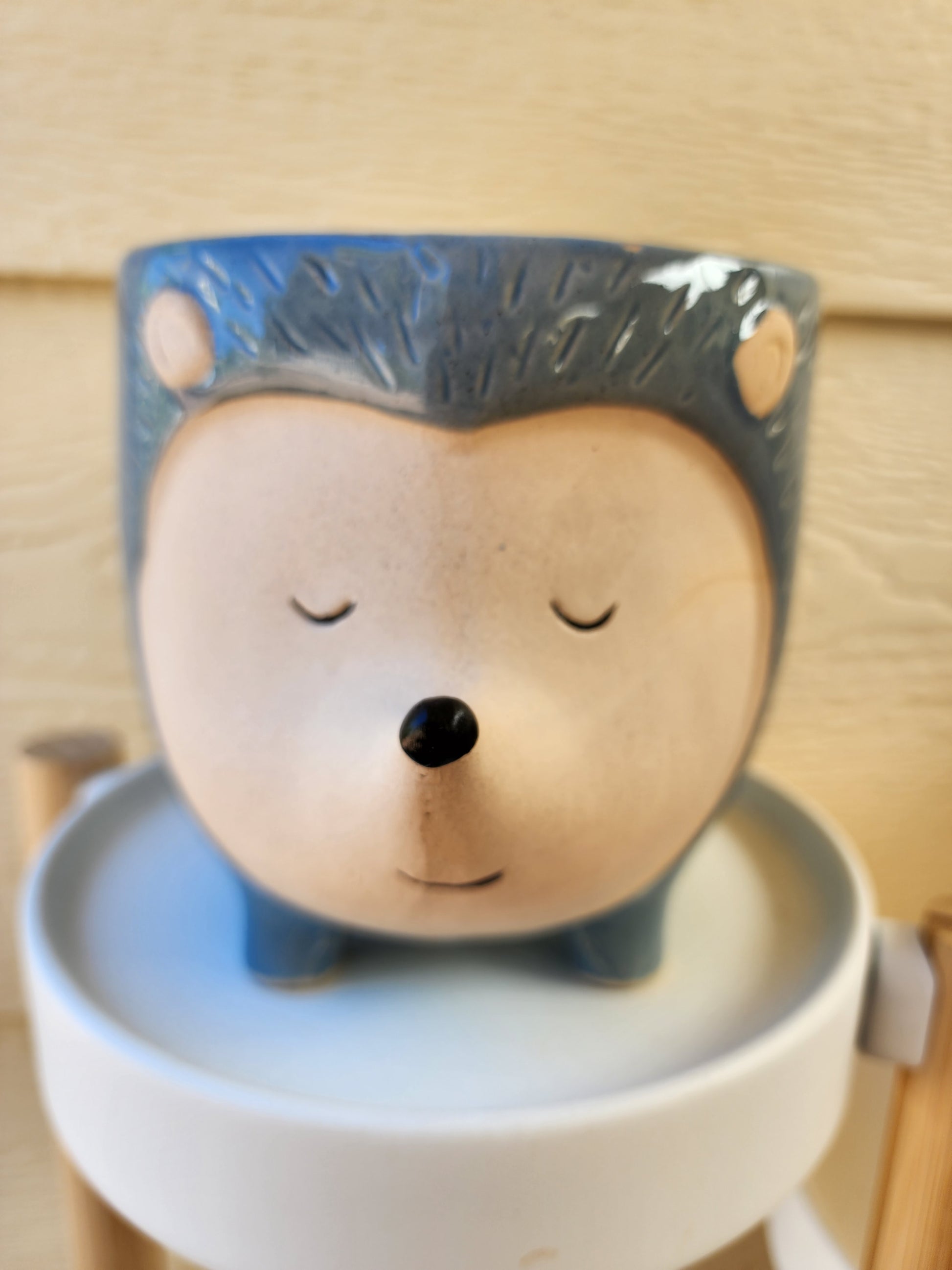 Hedgehog Planter Blue Lg 14.5cm - Leaf of Faith SA