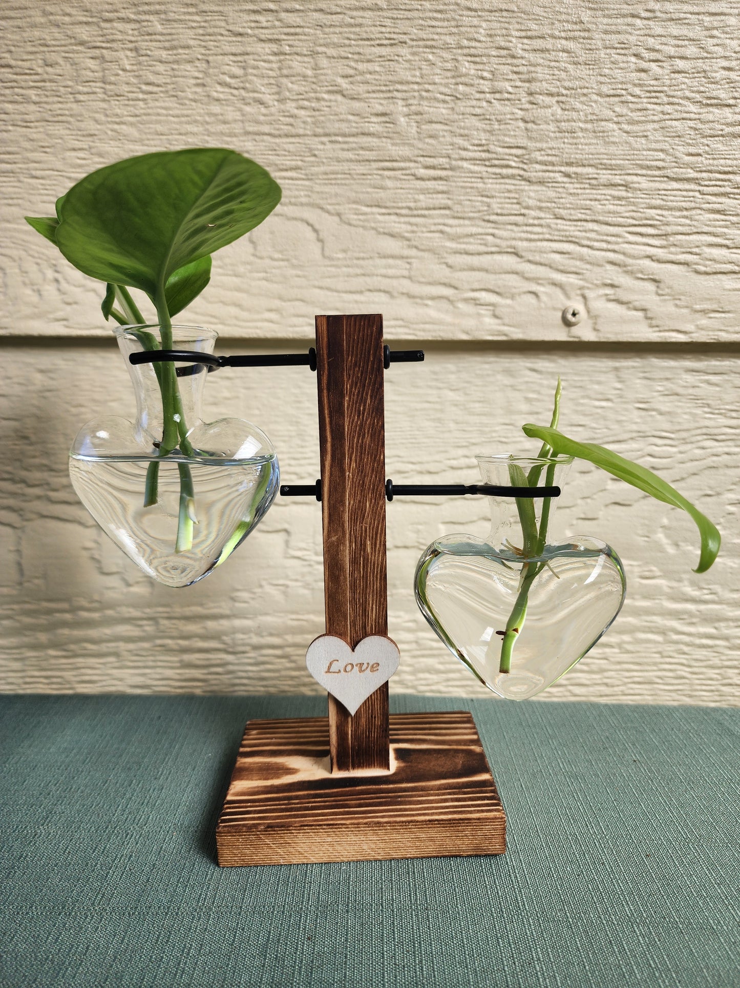 Heart-Shaped Propagation Station - Leaf of Faith SA