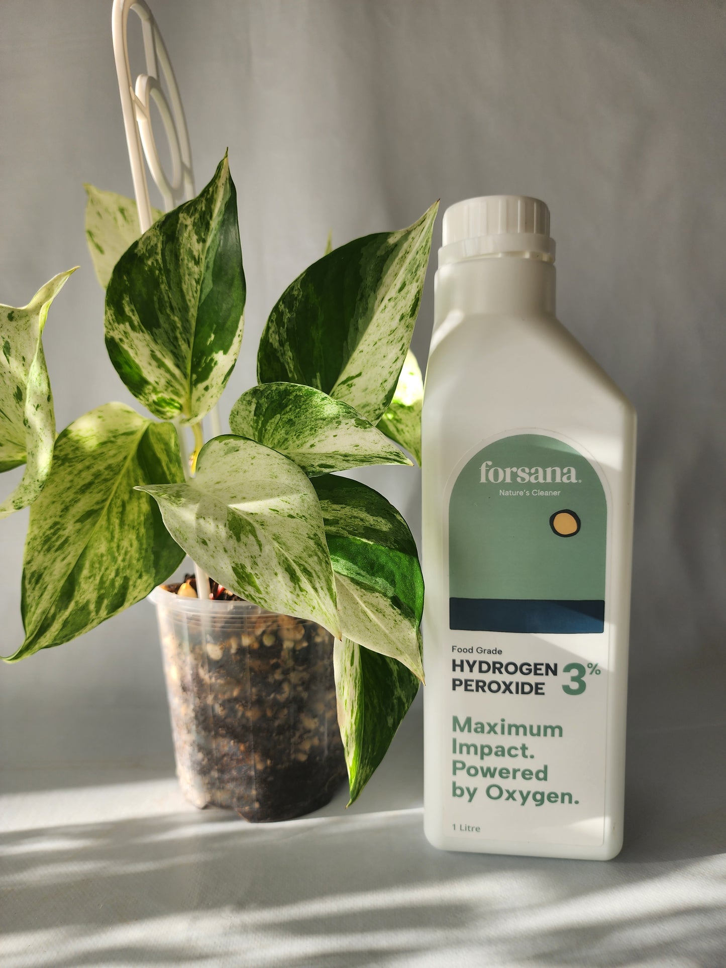 Hydrogen Peroxide 3% 1L from Forsana - Leaf of Faith SA