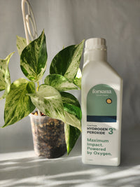 Hydrogen Peroxide 3% 1L from Forsana - Leaf of Faith SA