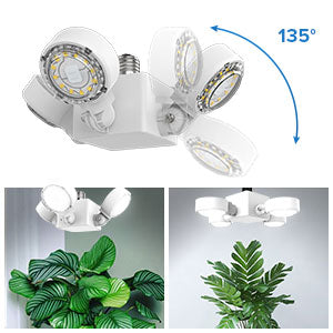 SANSI Grow Light -30W (Wing) - Leaf of Faith SA