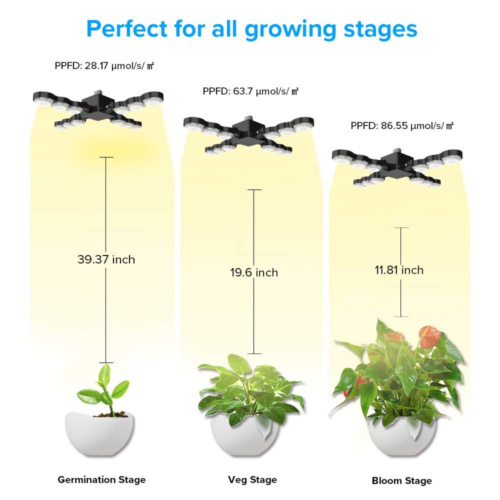 SANSI Grow Light -60W (Wing) - Leaf of Faith SA