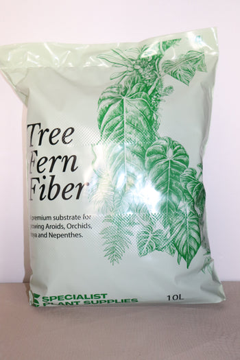 Tree Fern Fiber by Specialist Plant Supplies - Leaf of Faith SA