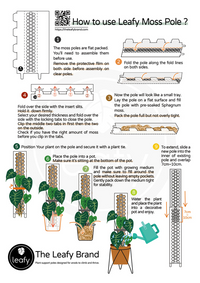 leafy™ Moss Poles Honeycomb Clear - Leaf of Faith SA