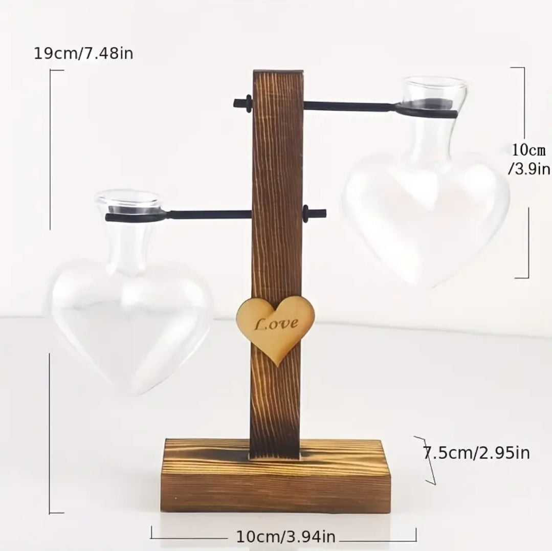 Heart-Shaped Propagation Station - Leaf of Faith SA