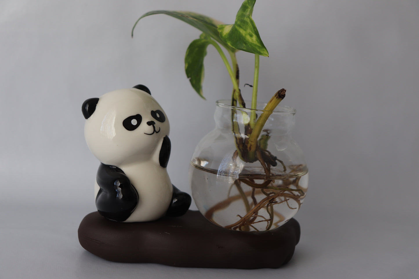 Panda figurine with a glass vase containing a plant on a gray background