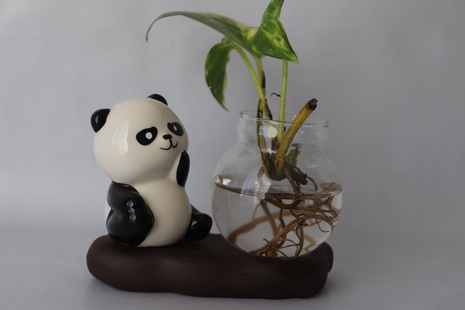Panda figurine with a glass vase containing a plant on a gray background