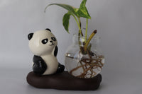 Panda figurine with a glass vase containing a plant on a gray background