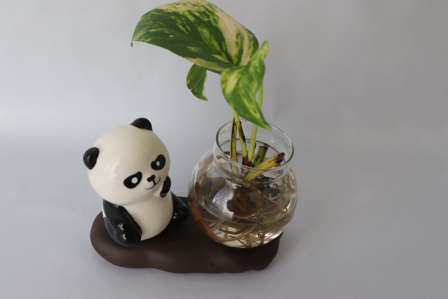 Panda-shaped vase with a plant on a plain background