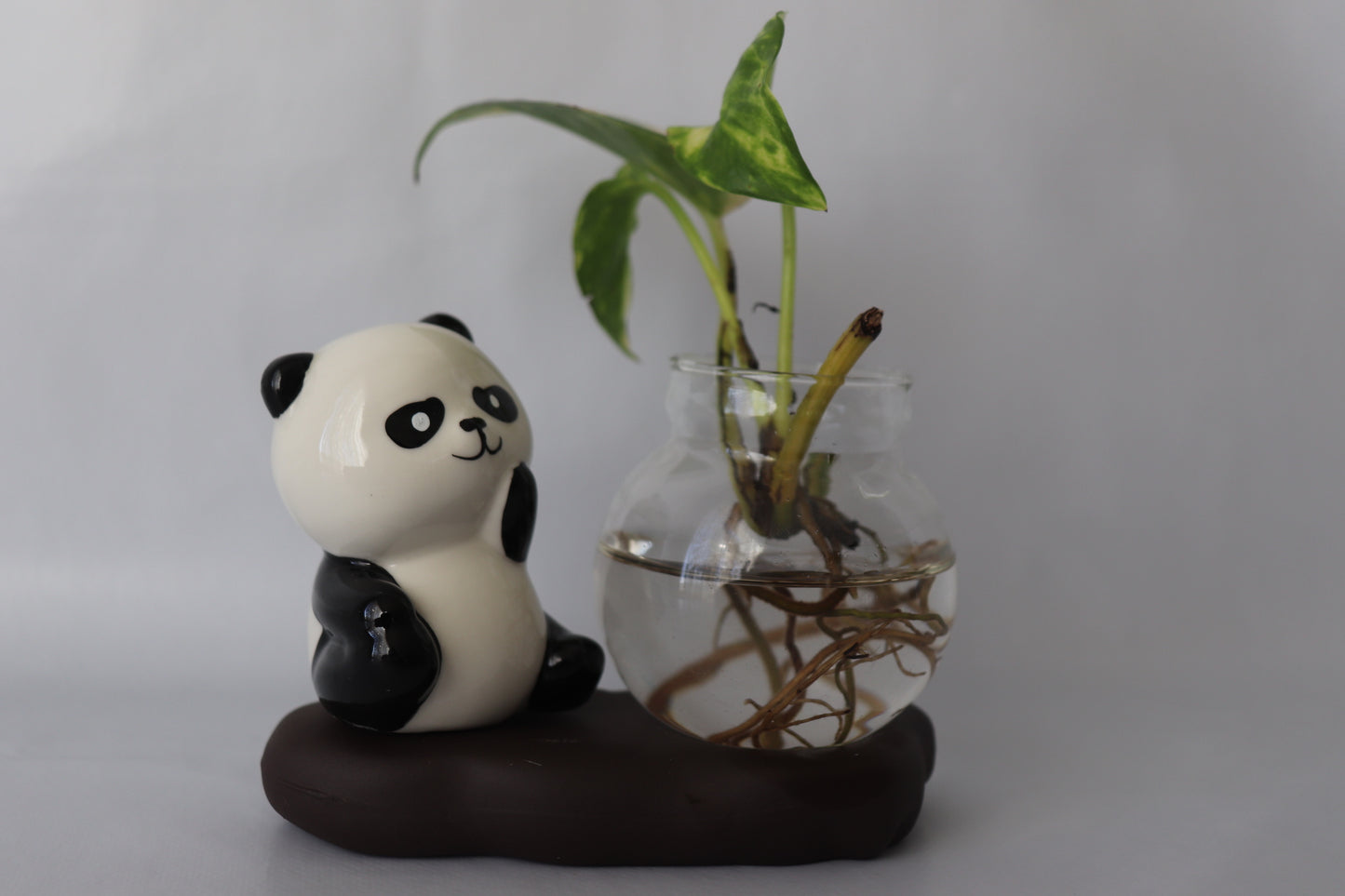 Panda figurine with a glass vase containing a plant on a white background