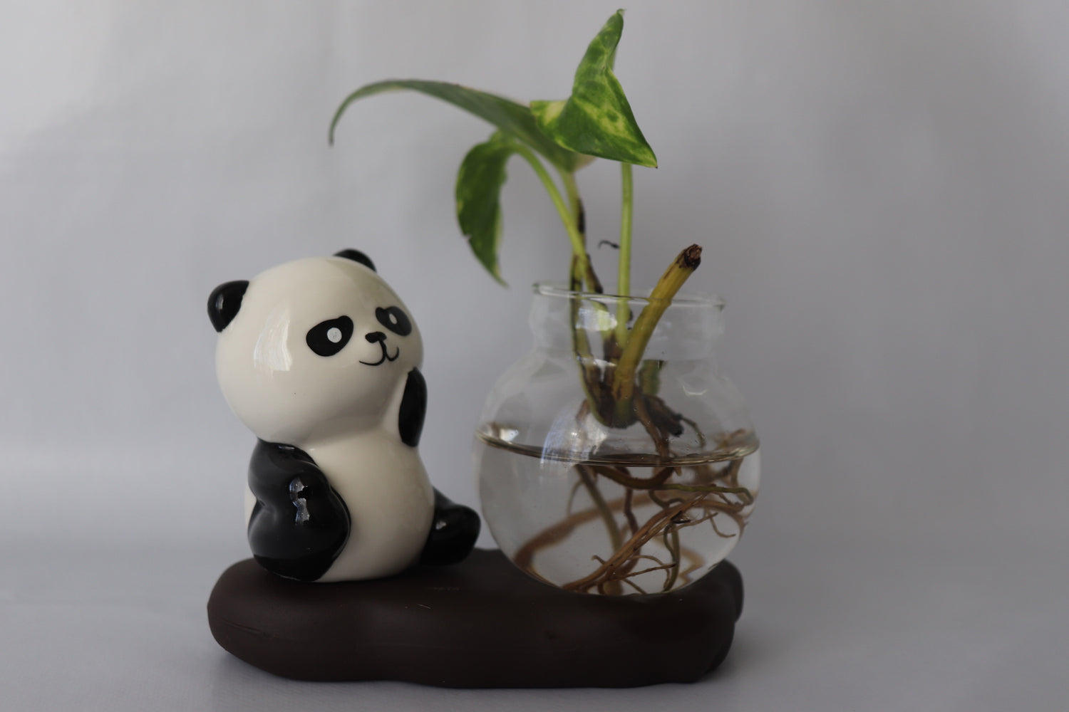 Panda figurine with a glass vase containing a plant on a white background