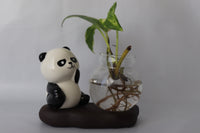 Panda figurine with a glass vase containing a plant on a white background