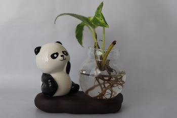 Panda figurine with a glass vase containing a plant on a white background