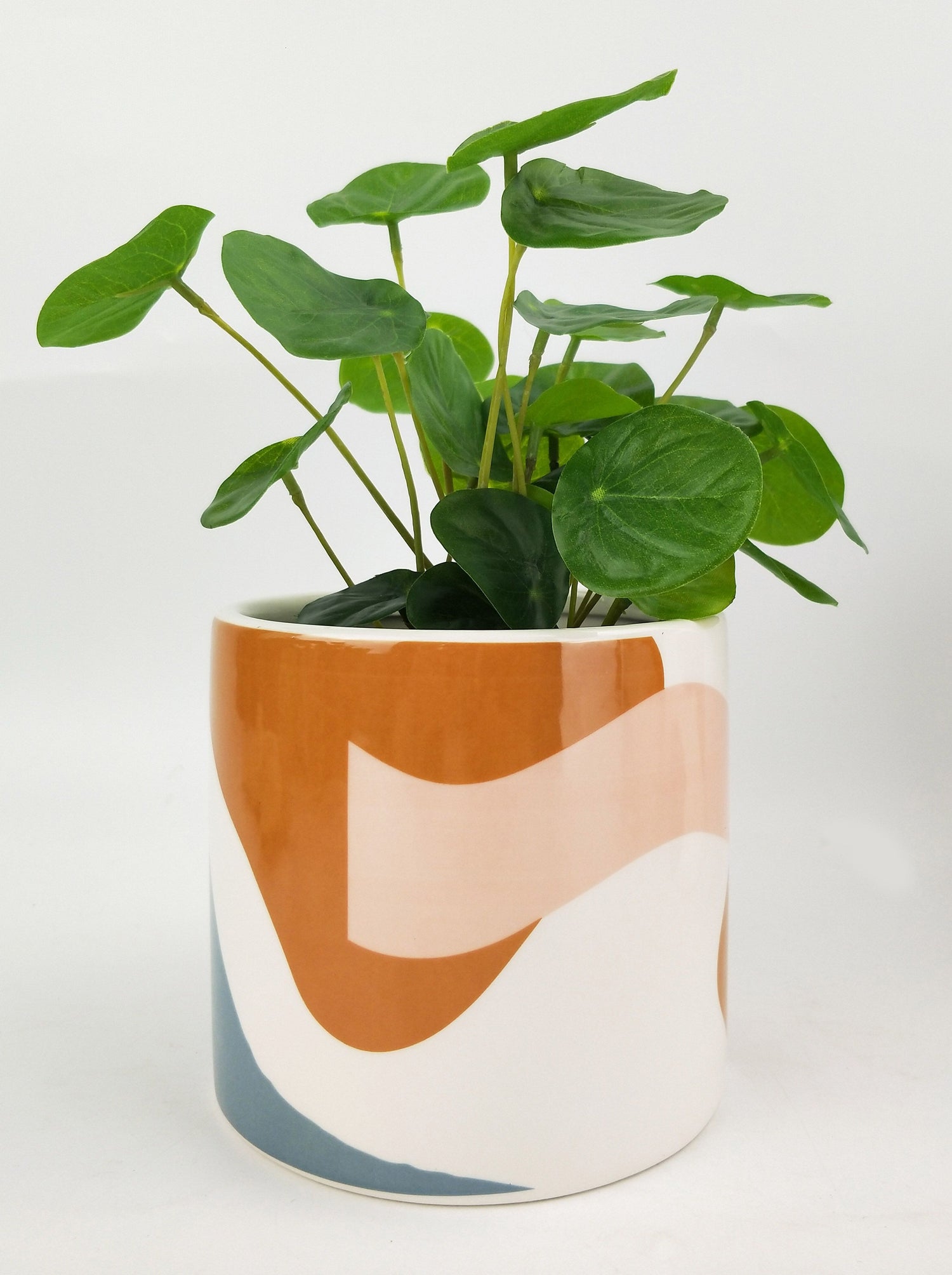 Urban Elena Abstract Planter – Pink and Blue Ceramic Pot for Indoor Plants (12cm & 16cm)