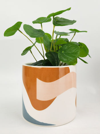 Urban Elena Abstract Planter – Pink and Blue Ceramic Pot for Indoor Plants (12cm & 16cm)