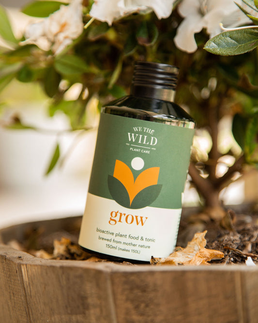 We The Wild - Grow Plant Food & Tonic - Leaf of Faith SA