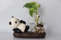 Panda Glass Hydroponic Proporgation Planter