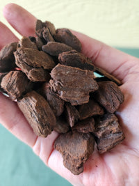 Orchiata Orchid Bark 2.5L premium New Zealand Pinus radiata bark for orchids