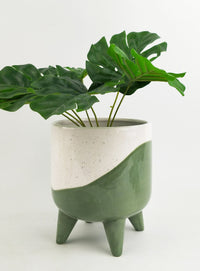 Avery Dot Planter with Legs Green Medium 16cm - Leaf of Faith SA