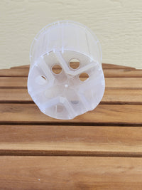 Clear Nursery Pot 10cm - Leaf of Faith SA