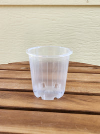 Clear Nursery Pot 7cm - Leaf of Faith SA