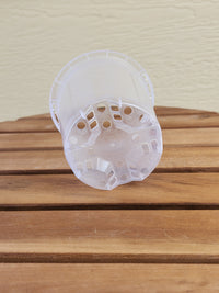 Clear Nursery Pot 9cm - Leaf of Faith SA