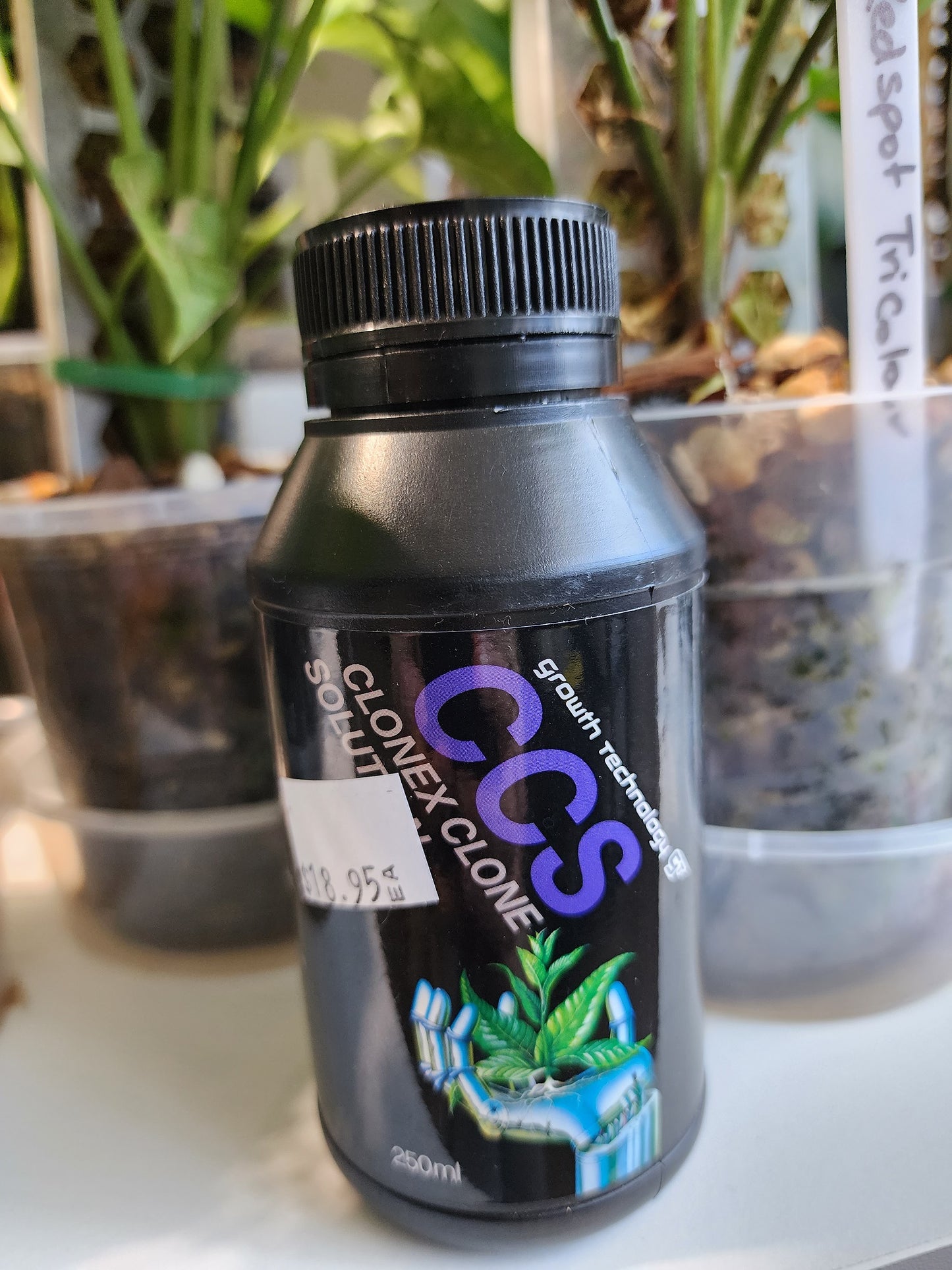 Growth Technology Clonex Clone Solution 250ml - Leaf of Faith SA